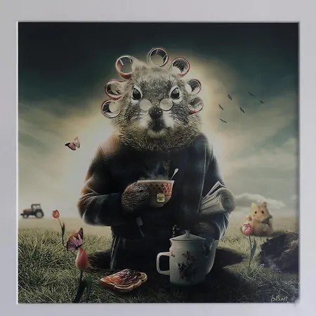 Escapade En Normandie Villa *